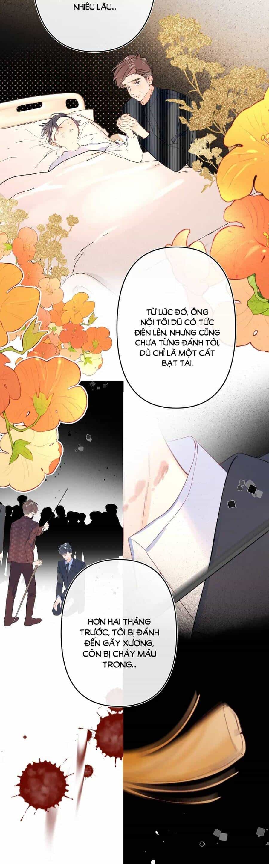 Đừng Khóc - Chương 109 - ảnh 14