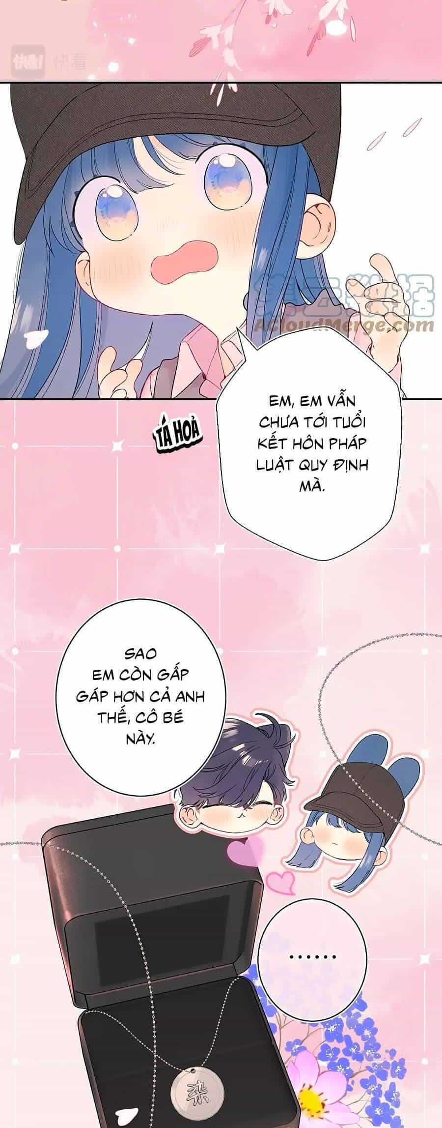 Đừng Khóc - Chương 115 - ảnh 21