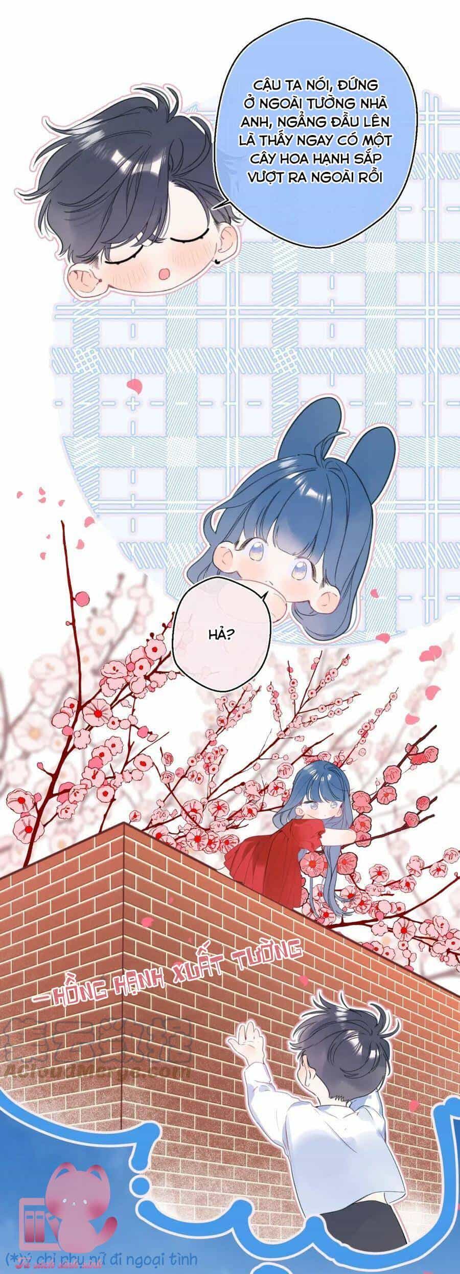 Đừng Khóc - Chương 120 - ảnh 16