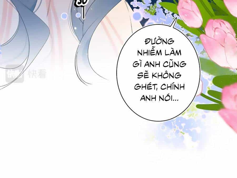 Đừng Khóc - Chương 64 - ảnh 19
