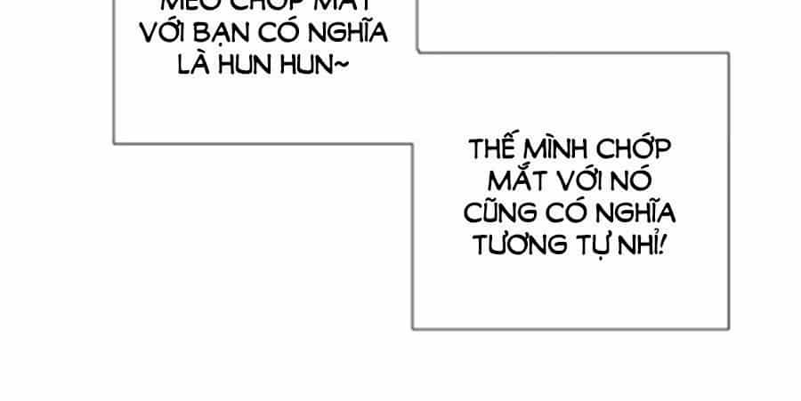 Đừng Nghịch, Ta Chỉ Muốn Yên Tĩnh - Chương 34 - ảnh 19