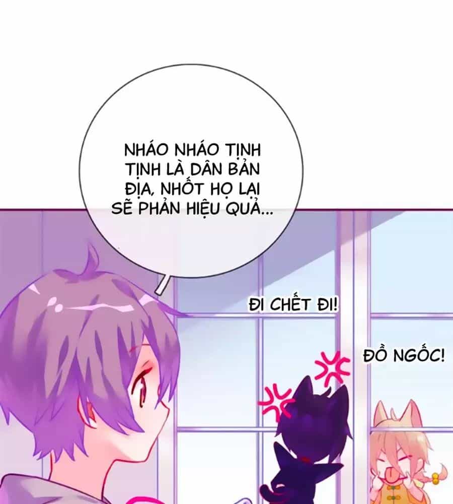 Đừng Nghịch, Ta Chỉ Muốn Yên Tĩnh - Chương 62 - ảnh 58