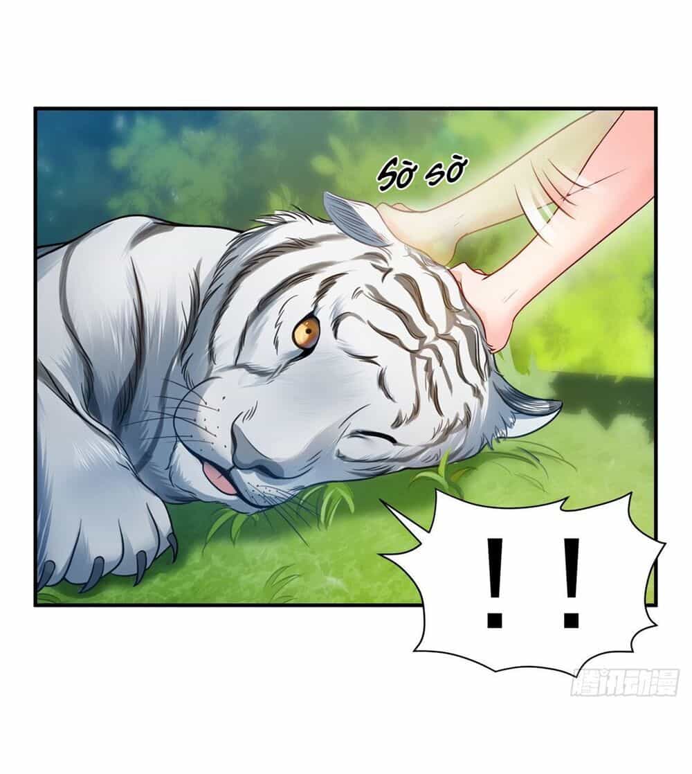 Đúng Như Hàn Quang Gặp Nắng Gắt - Chương 87 - ảnh 13