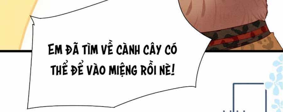 Được Chồng Rắn Siêu Sủng Khi Xuyên Qua Thú Thế - Chương 9 - ảnh 19
