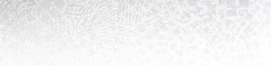 Dưới Bóng Cây Sồi - Chương 131.2 - ảnh 19