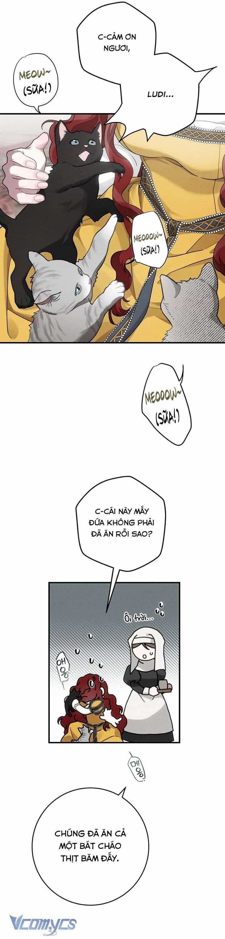 Dưới Bóng Cây Sồi - Chương 56 - ảnh 36