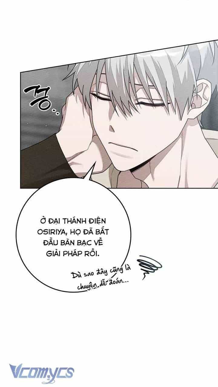 Dưới Bóng Cây Sồi - Chương 86 - ảnh 14