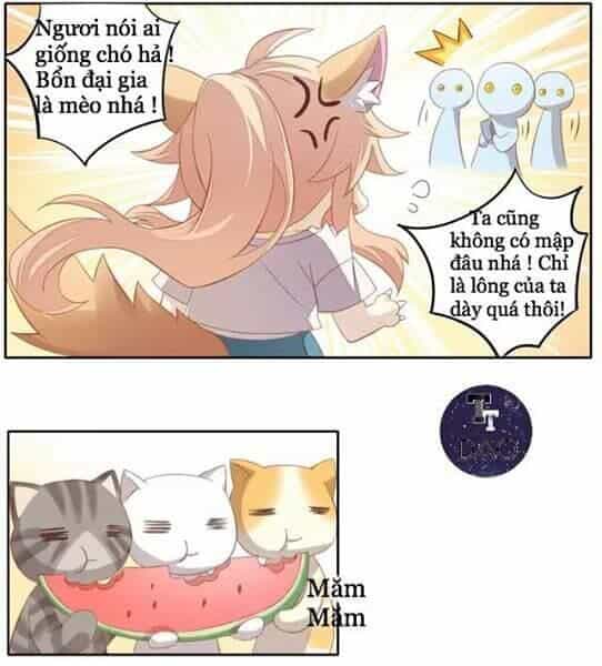 Dưới Móng Vuốt Mèo - Chương 10 - ảnh 11