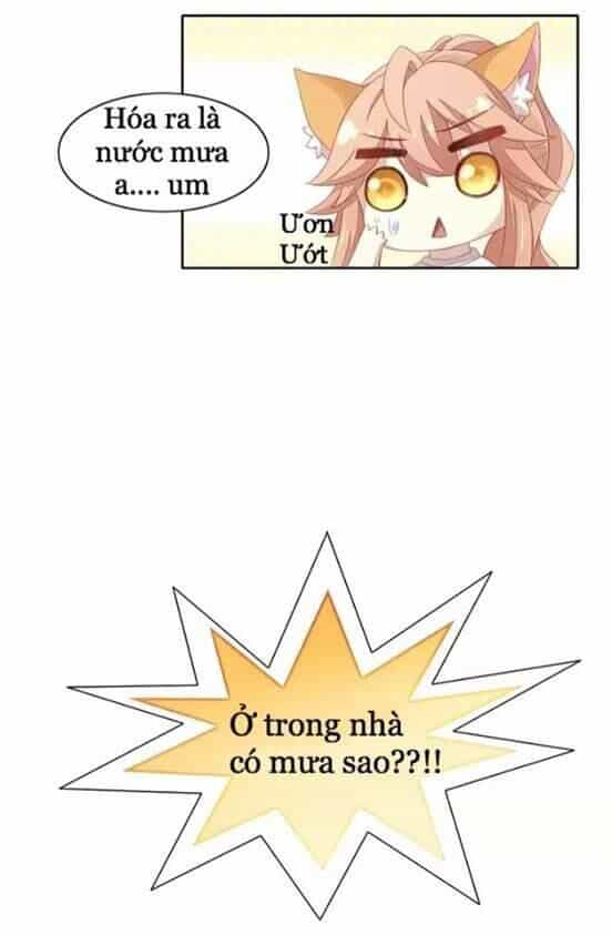 Dưới Móng Vuốt Mèo - Chương 10 - ảnh 19