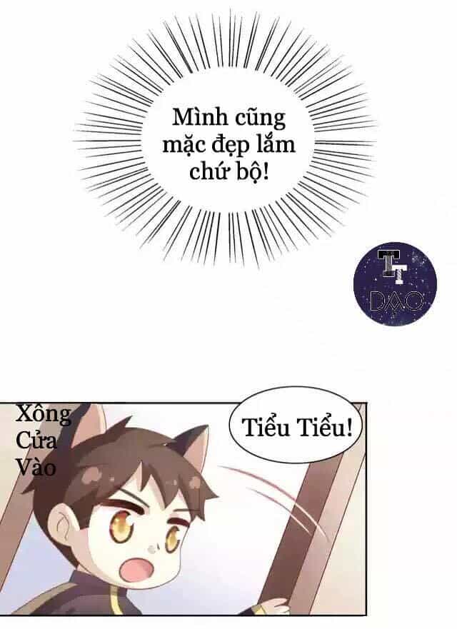 Dưới Móng Vuốt Mèo - Chương 11 - ảnh 11