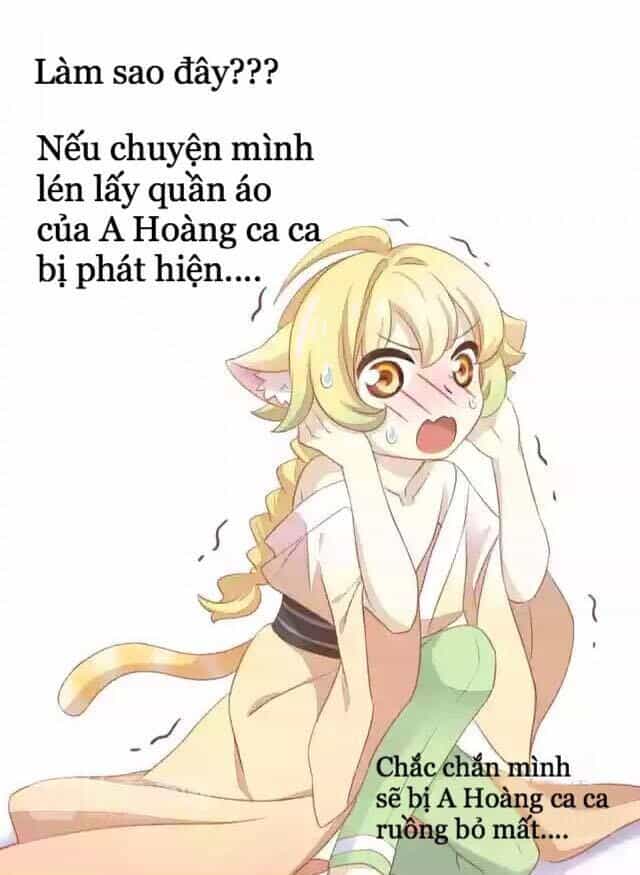 Dưới Móng Vuốt Mèo - Chương 11 - ảnh 16