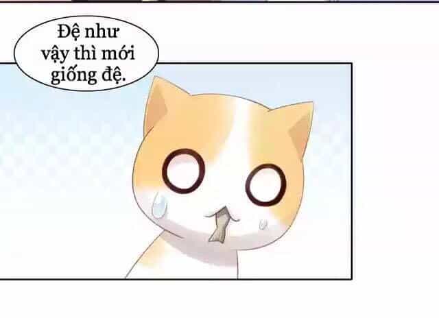 Dưới Móng Vuốt Mèo - Chương 11 - ảnh 33