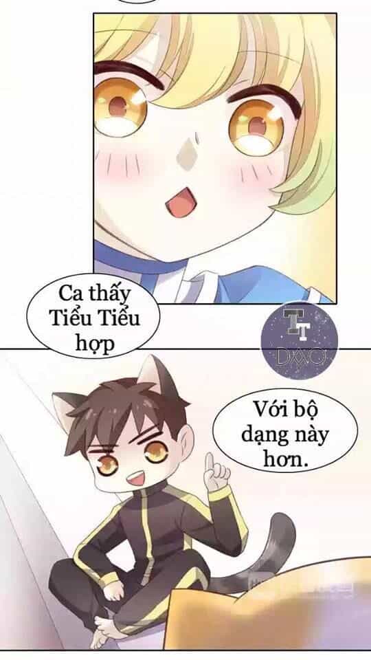 Dưới Móng Vuốt Mèo - Chương 11 - ảnh 35