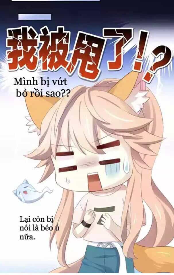 Dưới Móng Vuốt Mèo - Chương 11 - ảnh 47