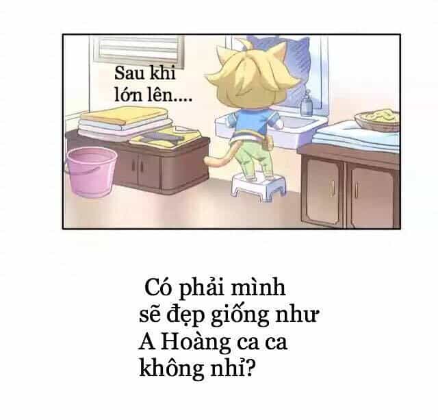 Dưới Móng Vuốt Mèo - Chương 11 - ảnh 8