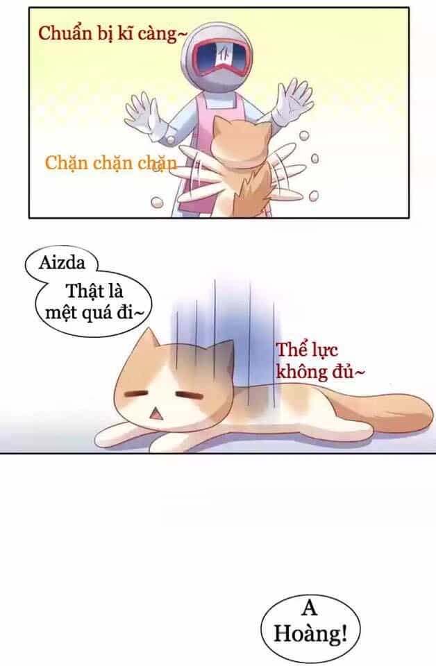 Dưới Móng Vuốt Mèo - Chương 12 - ảnh 15