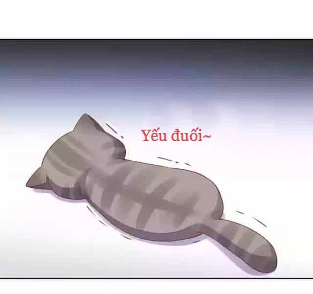 Dưới Móng Vuốt Mèo - Chương 12 - ảnh 19