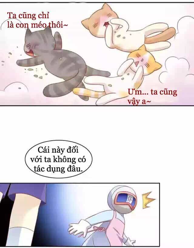 Dưới Móng Vuốt Mèo - Chương 12 - ảnh 26