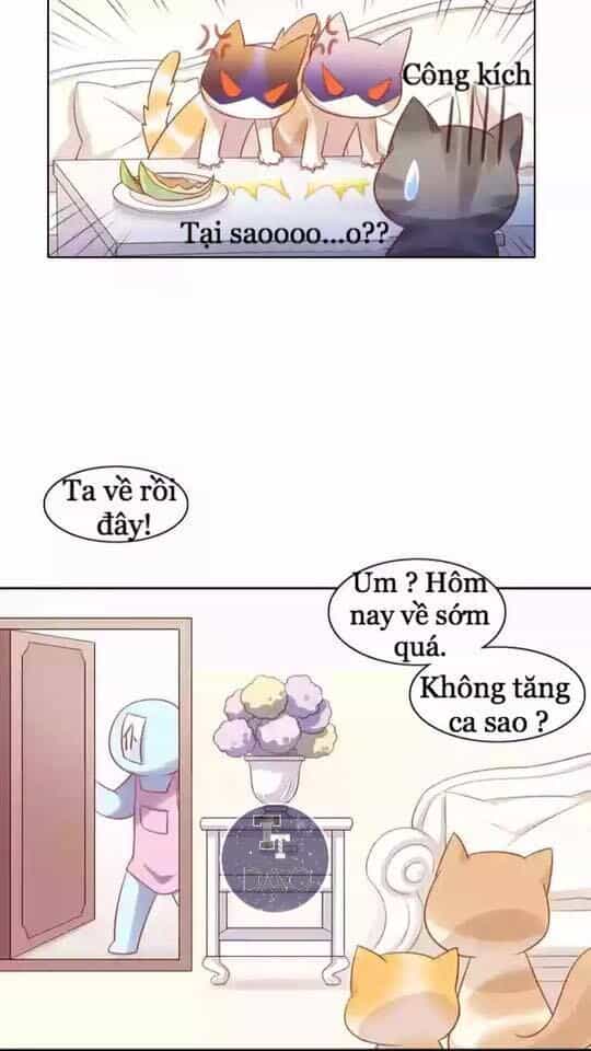Dưới Móng Vuốt Mèo - Chương 12 - ảnh 5