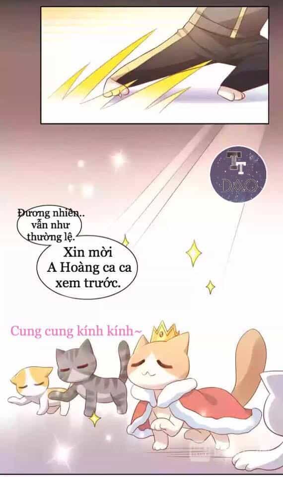 Dưới Móng Vuốt Mèo - Chương 12 - ảnh 9