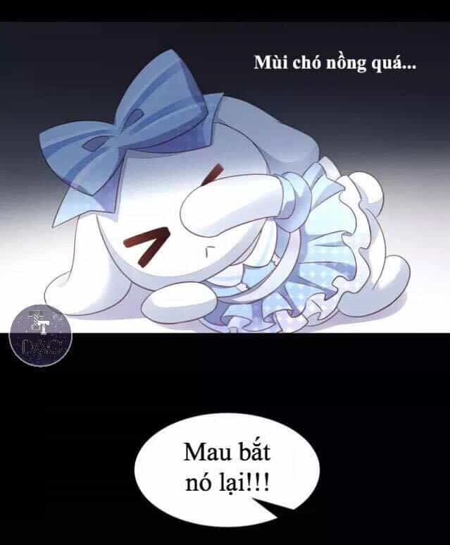 Dưới Móng Vuốt Mèo - Chương 14 - ảnh 30