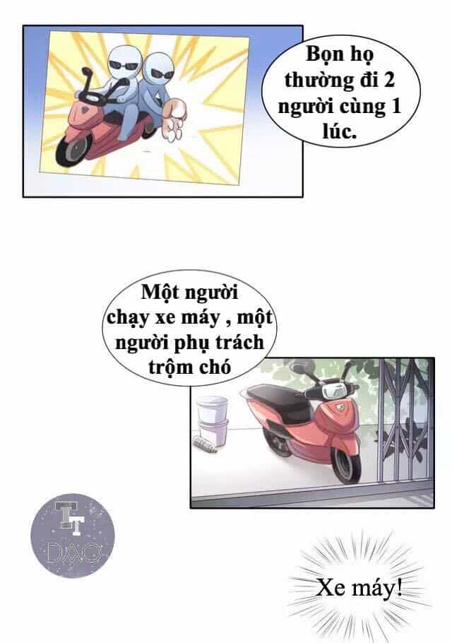 Dưới Móng Vuốt Mèo - Chương 14 - ảnh 33