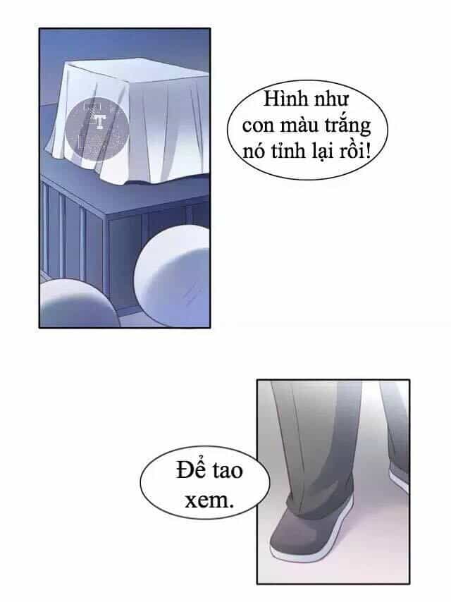 Dưới Móng Vuốt Mèo - Chương 14 - ảnh 35