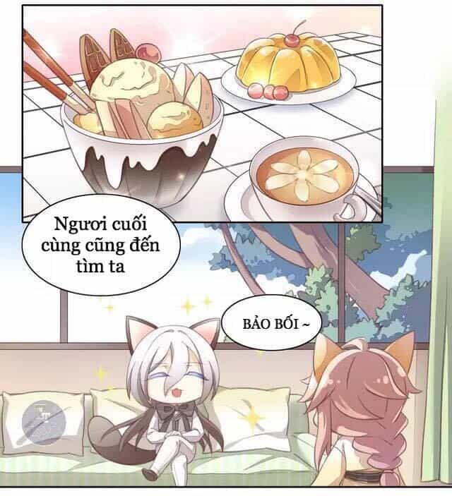 Dưới Móng Vuốt Mèo - Chương 15 - ảnh 2