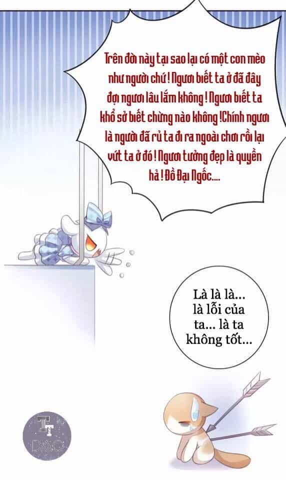 Dưới Móng Vuốt Mèo - Chương 15 - ảnh 24