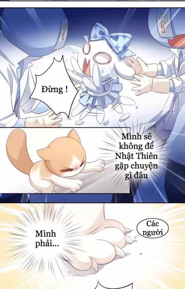 Dưới Móng Vuốt Mèo - Chương 15 - ảnh 32