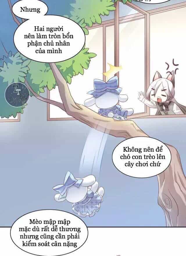 Dưới Móng Vuốt Mèo - Chương 15 - ảnh 45
