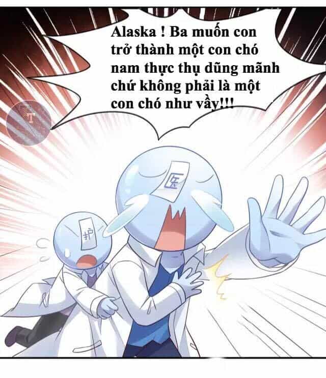 Dưới Móng Vuốt Mèo - Chương 16 - ảnh 11