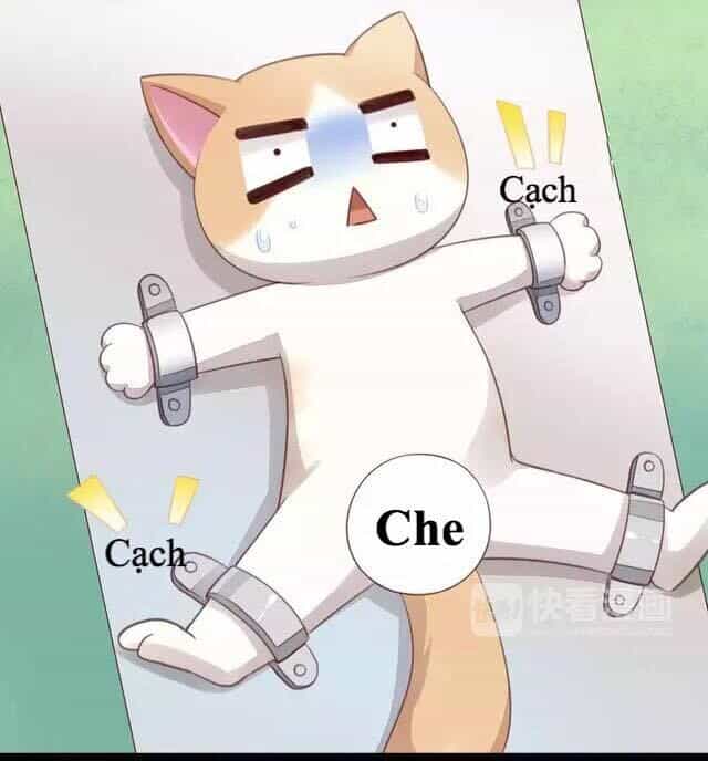 Dưới Móng Vuốt Mèo - Chương 16 - ảnh 42