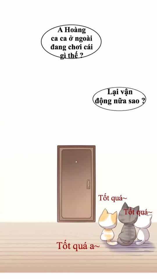 Dưới Móng Vuốt Mèo - Chương 16 - ảnh 46