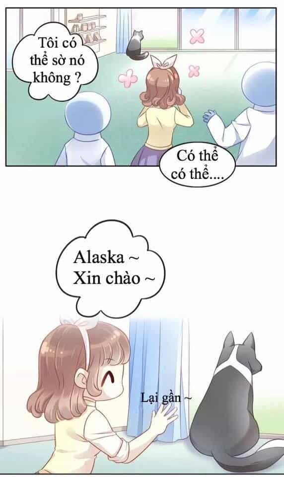 Dưới Móng Vuốt Mèo - Chương 17 - ảnh 3