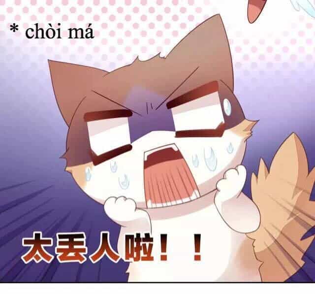 Dưới Móng Vuốt Mèo - Chương 17 - ảnh 30