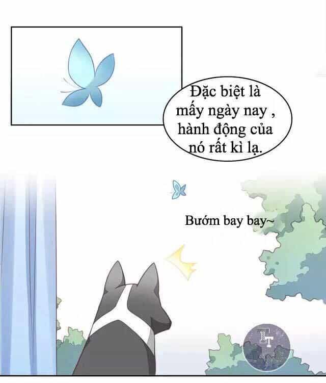 Dưới Móng Vuốt Mèo - Chương 17 - ảnh 6