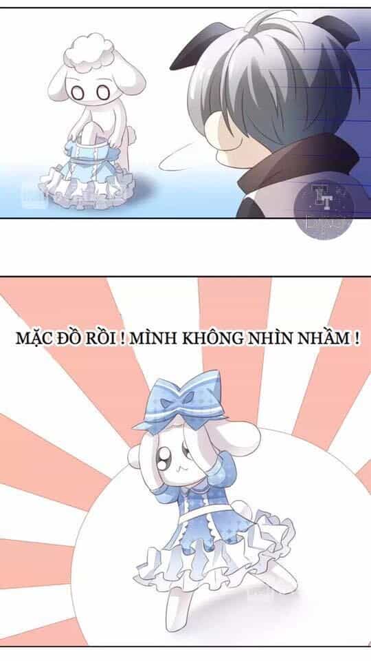 Dưới Móng Vuốt Mèo - Chương 17 - ảnh 79