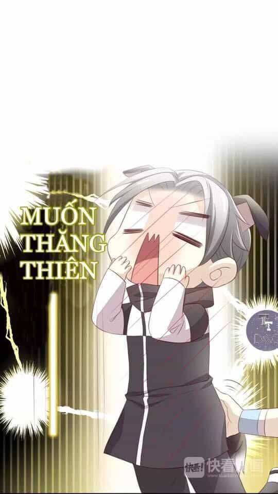 Dưới Móng Vuốt Mèo - Chương 17 - ảnh 83
