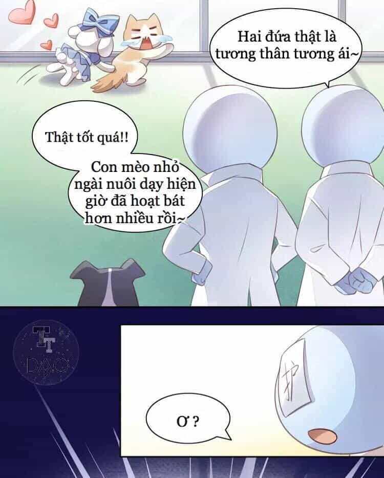 Dưới Móng Vuốt Mèo - Chương 17 - ảnh 92