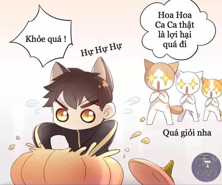 Dưới Móng Vuốt Mèo - Chương 18 - ảnh 25