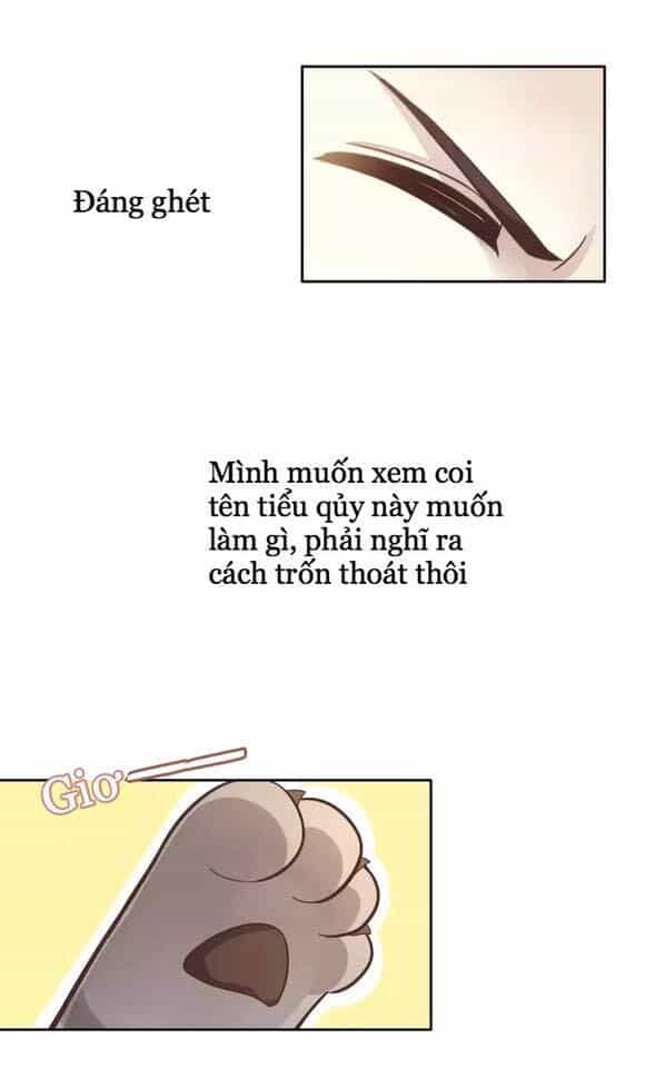 Dưới Móng Vuốt Mèo - Chương 19 - ảnh 35