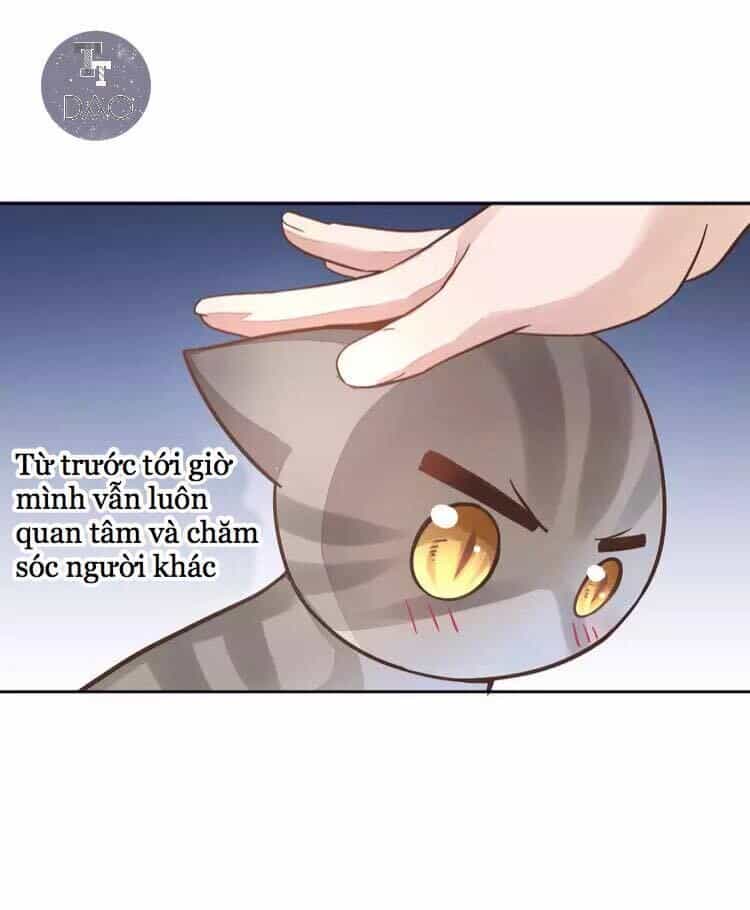 Dưới Móng Vuốt Mèo - Chương 19 - ảnh 41