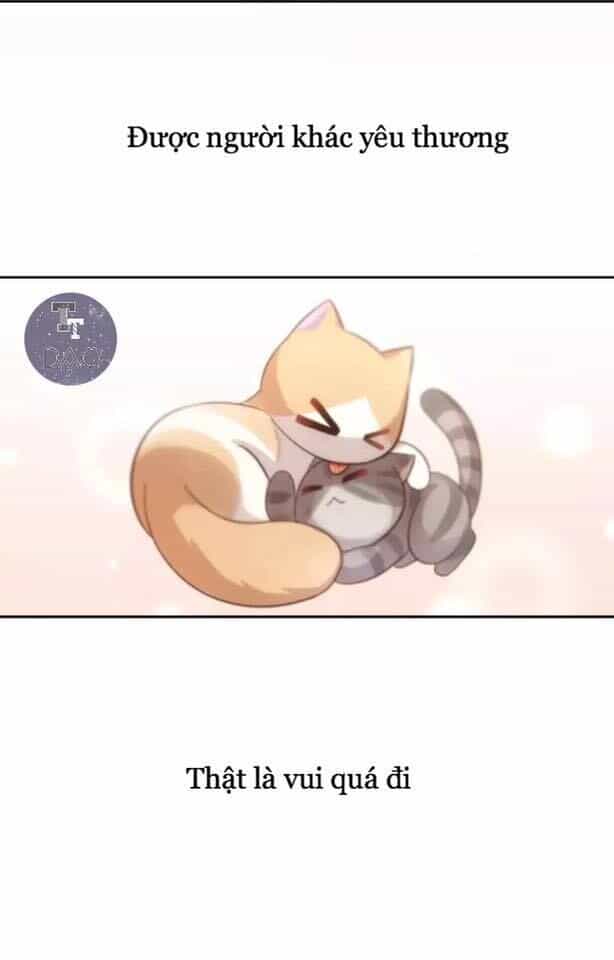 Dưới Móng Vuốt Mèo - Chương 19 - ảnh 44