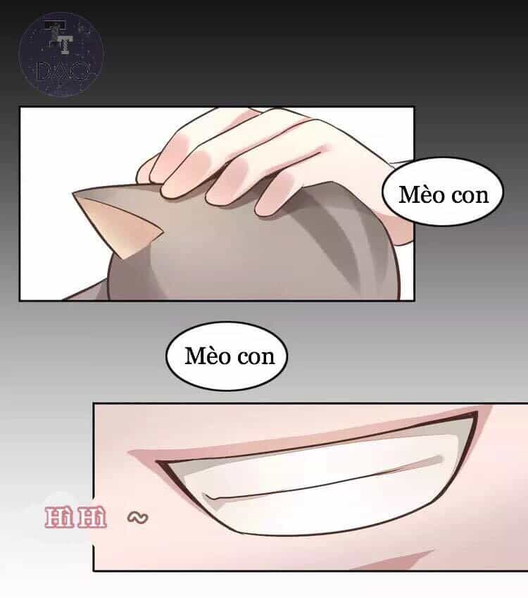 Dưới Móng Vuốt Mèo - Chương 19 - ảnh 45