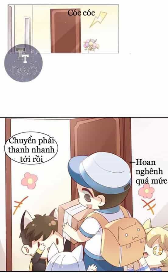 Dưới Móng Vuốt Mèo - Chương 2 - ảnh 19