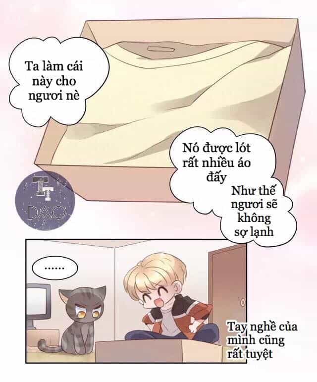 Dưới Móng Vuốt Mèo - Chương 20 - ảnh 12