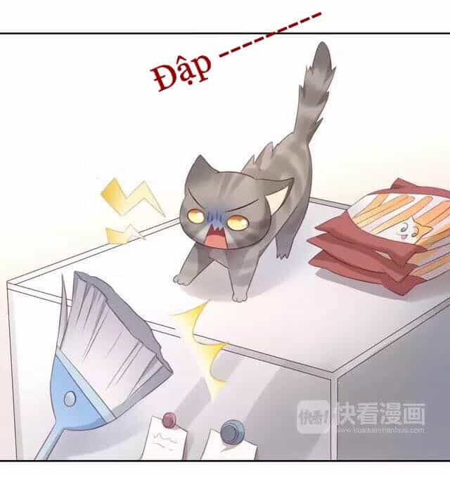 Dưới Móng Vuốt Mèo - Chương 20 - ảnh 21