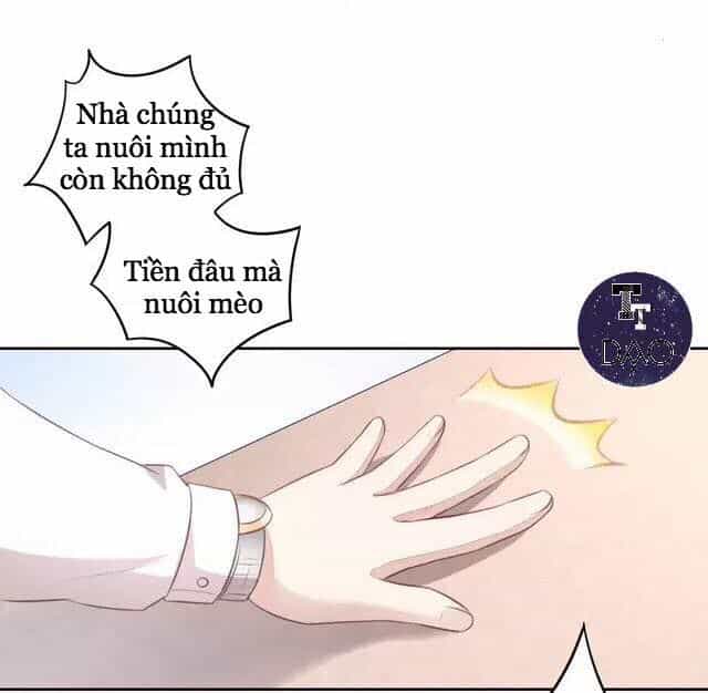 Dưới Móng Vuốt Mèo - Chương 20 - ảnh 26