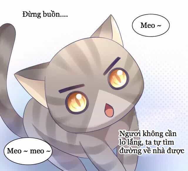 Dưới Móng Vuốt Mèo - Chương 20 - ảnh 33